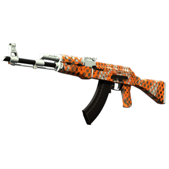AK-47 | Safety Net (Factory New) CS2 skin