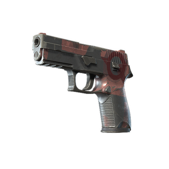 P250 | Constructivist (Field-Tested) CS2 skin