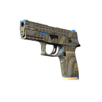P250 | Exchanger (Factory New) CS2 skin