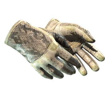 ★ Driver Gloves | King Snake (Battle-Scarred) CS2 skin
