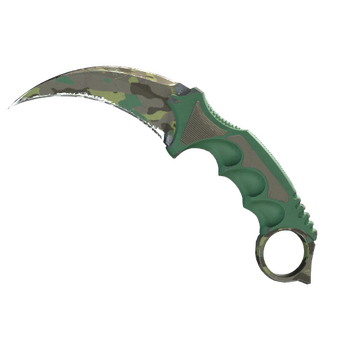 ★ Karambit | Boreal Forest (Field-Tested) CS2 skin
