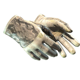 ★ Driver Gloves | King Snake (Field-Tested) CS2 skin