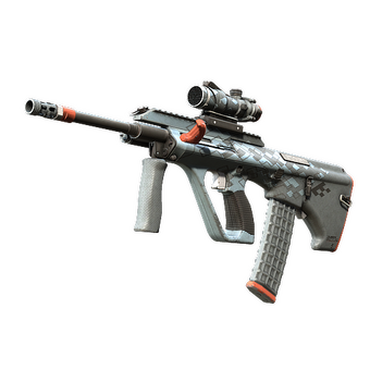 AUG | Trigger Discipline (Well-Worn) CS2 skin