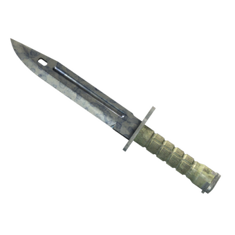 ★ Bayonet | Stained (Field-Tested) CS2 skin