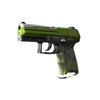 StatTrak™ P2000 | Turf (Well-Worn) CS2 skin