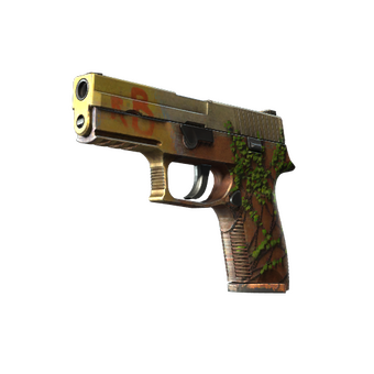 P250 | Inferno (Field-Tested) CS2 skin