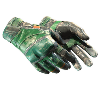 ★ Moto Gloves | Turtle (Battle-Scarred) CS2 skin