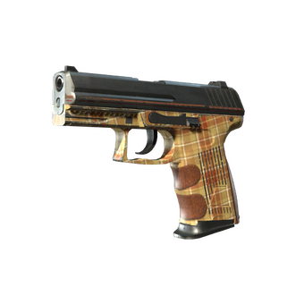 P2000 | Coach Class (Field-Tested) CS2 skin