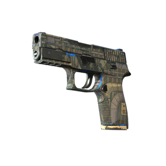 P250 | Exchanger (Field-Tested) CS2 skin