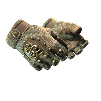 ★ Hydra Gloves | Mangrove (Battle-Scarred) CS2 skin