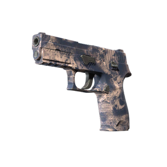 P250 | Drought (Factory New) CS2 skin