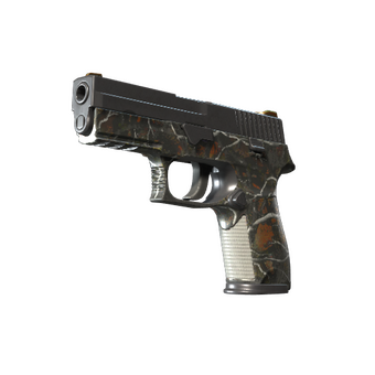 P250 | Small Game (Well-Worn) CS2 skin