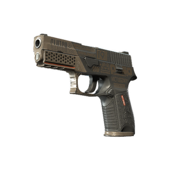P250 | Bullfrog (Well-Worn) CS2 skin