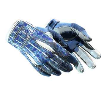 ★ Sport Gloves | Amphibious (Well-Worn) CS2 skin