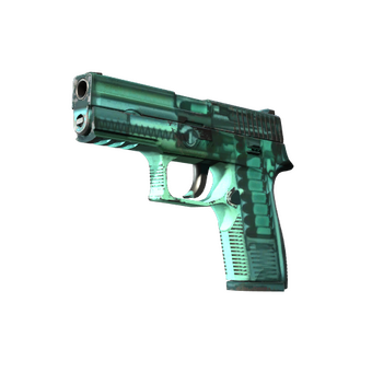 P250 | X-Ray (Field-Tested) CS2 skin
