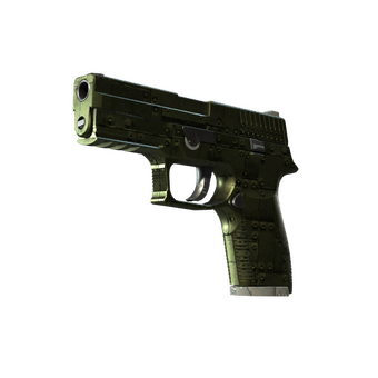 P250 | Iron Clad (Field-Tested) CS2 skin