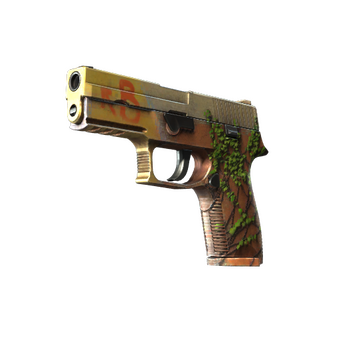 StatTrak™ P250 | Inferno (Minimal Wear) CS2 skin