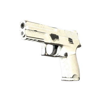 P250 | Whiteout (Field-Tested) CS2 skin