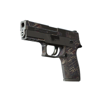 P250 | Facility Draft (Battle-Scarred) CS2 skin
