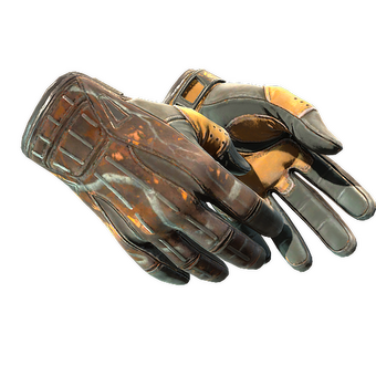 ★ Sport Gloves | Big Game (Battle-Scarred) CS2 skin