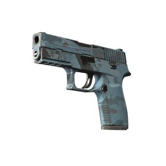 P250 | Forest Night (Well-Worn) CS2 skin
