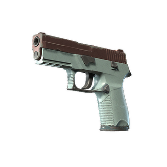 P250 | Copper Oxide (Well-Worn) CS2 skin