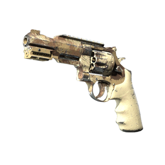 R8 Revolver | Desert Brush (Field-Tested) CS2 skin