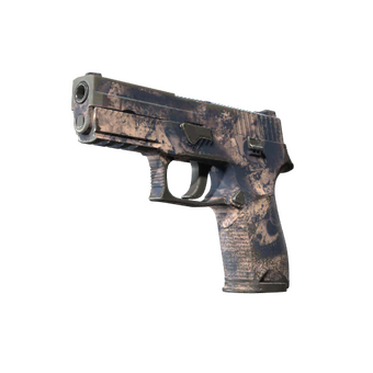 P250 | Drought (Well-Worn) CS2 skin