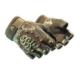 ★ Hydra Gloves | Rattler (Well-Worn) CS2 skin