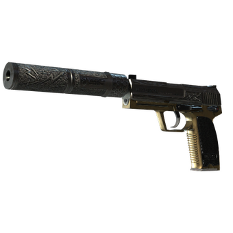 StatTrak™ USP-S | Lead Conduit (Well-Worn) CS2 skin