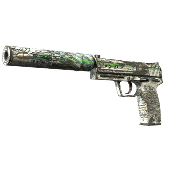 USP-S | Road Rash (Battle-Scarred) CS2 skin