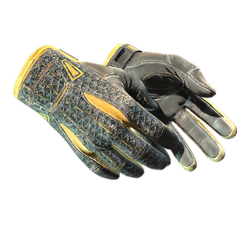 ★ Sport Gloves | Omega (Well-Worn) CS2 skin