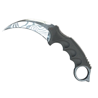 ★ Karambit | Damascus Steel (Field-Tested) CS2 skin
