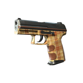 P2000 | Coach Class (Factory New) CS2 skin