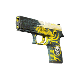 P250 | Wingshot (Well-Worn) CS2 skin