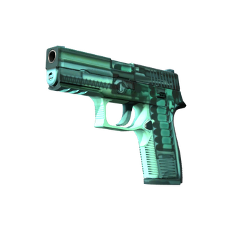 StatTrak™ P250 | X-Ray (Factory New) CS2 skin