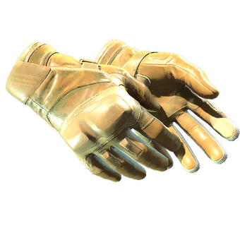 ★ Moto Gloves | Transport (Minimal Wear) CS2 skin