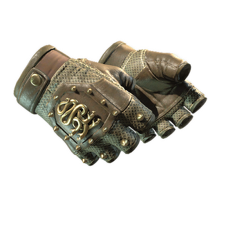 ★ Hydra Gloves | Mangrove (Minimal Wear) CS2 skin
