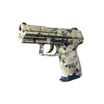 Souvenir P2000 | Granite Marbleized (Minimal Wear) CS2 skin