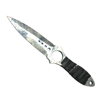 ★ Skeleton Knife | Stained (Battle-Scarred) CS2 skin