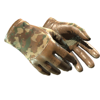 ★ Driver Gloves | Convoy (Minimal Wear) CS2 skin