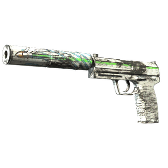 USP-S | Road Rash (Minimal Wear) CS2 skin
