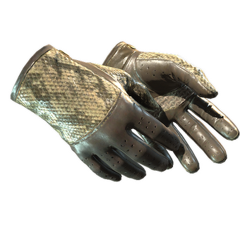 ★ Driver Gloves | Diamondback (Well-Worn) CS2 skin