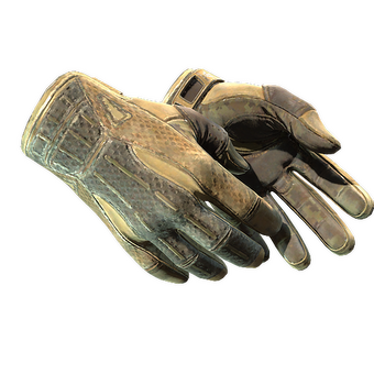 ★ Sport Gloves | Arid (Battle-Scarred) CS2 skin