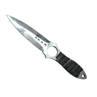 ★ Skeleton Knife | Stained (Well-Worn) CS2 skin