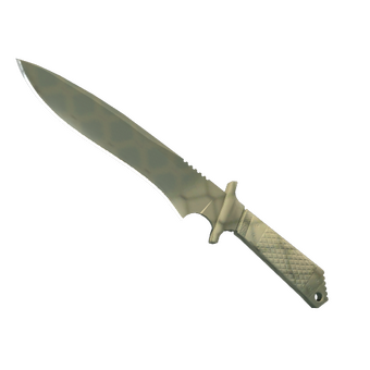 ★ Classic Knife | Safari Mesh (Minimal Wear) CS2 skin