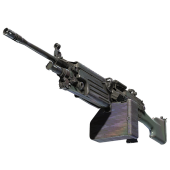 M249 | Spectrogram (Well-Worn) CS2 skin