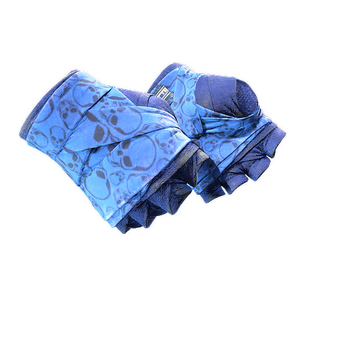 ★ Hand Wraps | Cobalt Skulls (Well-Worn) CS2 skin