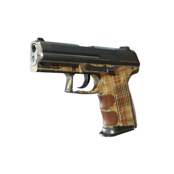 P2000 | Coach Class (Battle-Scarred) CS2 skin