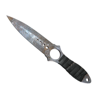★ StatTrak™ Skeleton Knife | Rust Coat (Well-Worn) CS2 skin